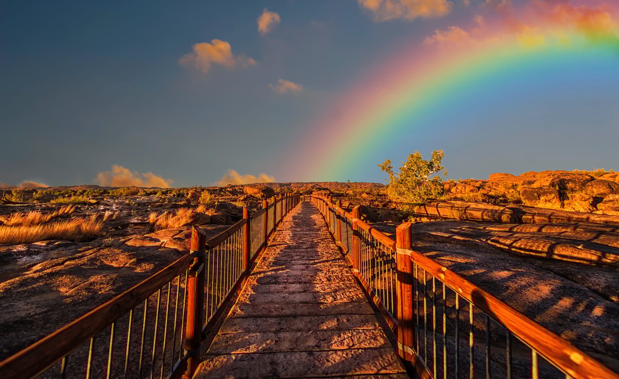 colorful-colourful-outdoors-830829